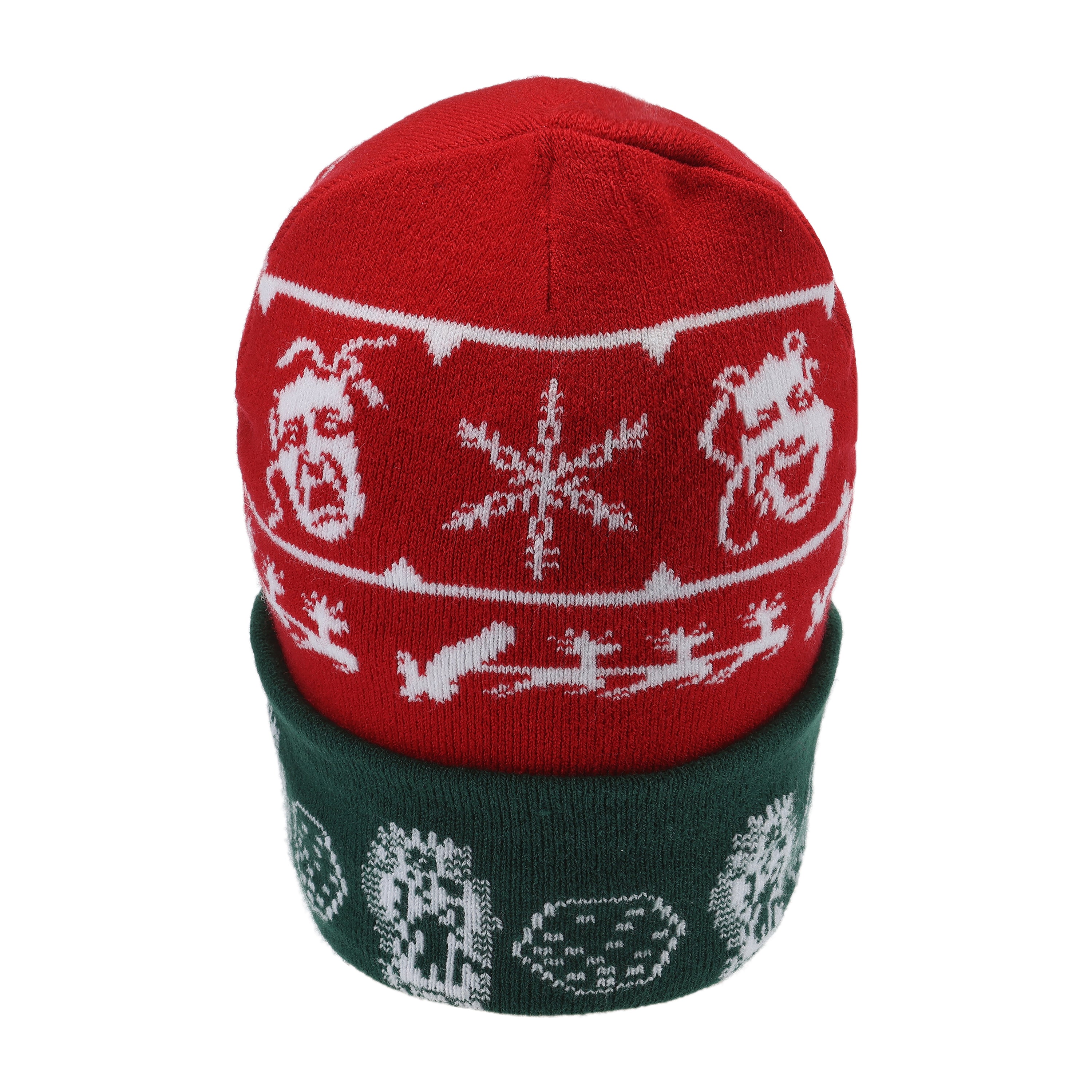 FB County Christmas Beanie